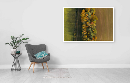 Edge of the Woods.jpg