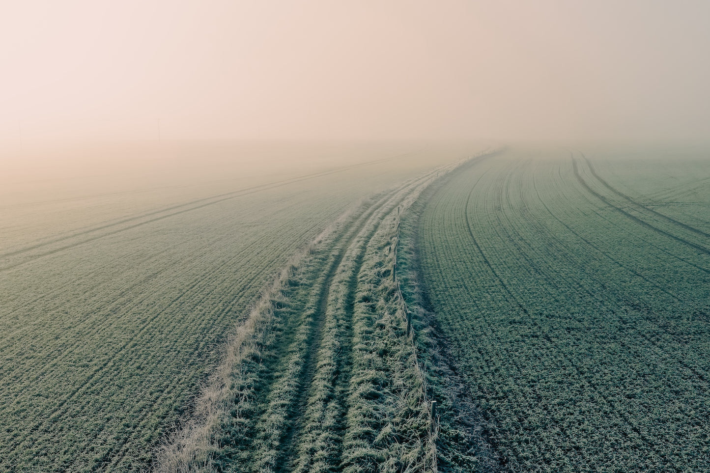 Into the Mist — A Winter Field at Dawn