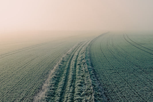 Into the Mist — A Winter Field at Dawn