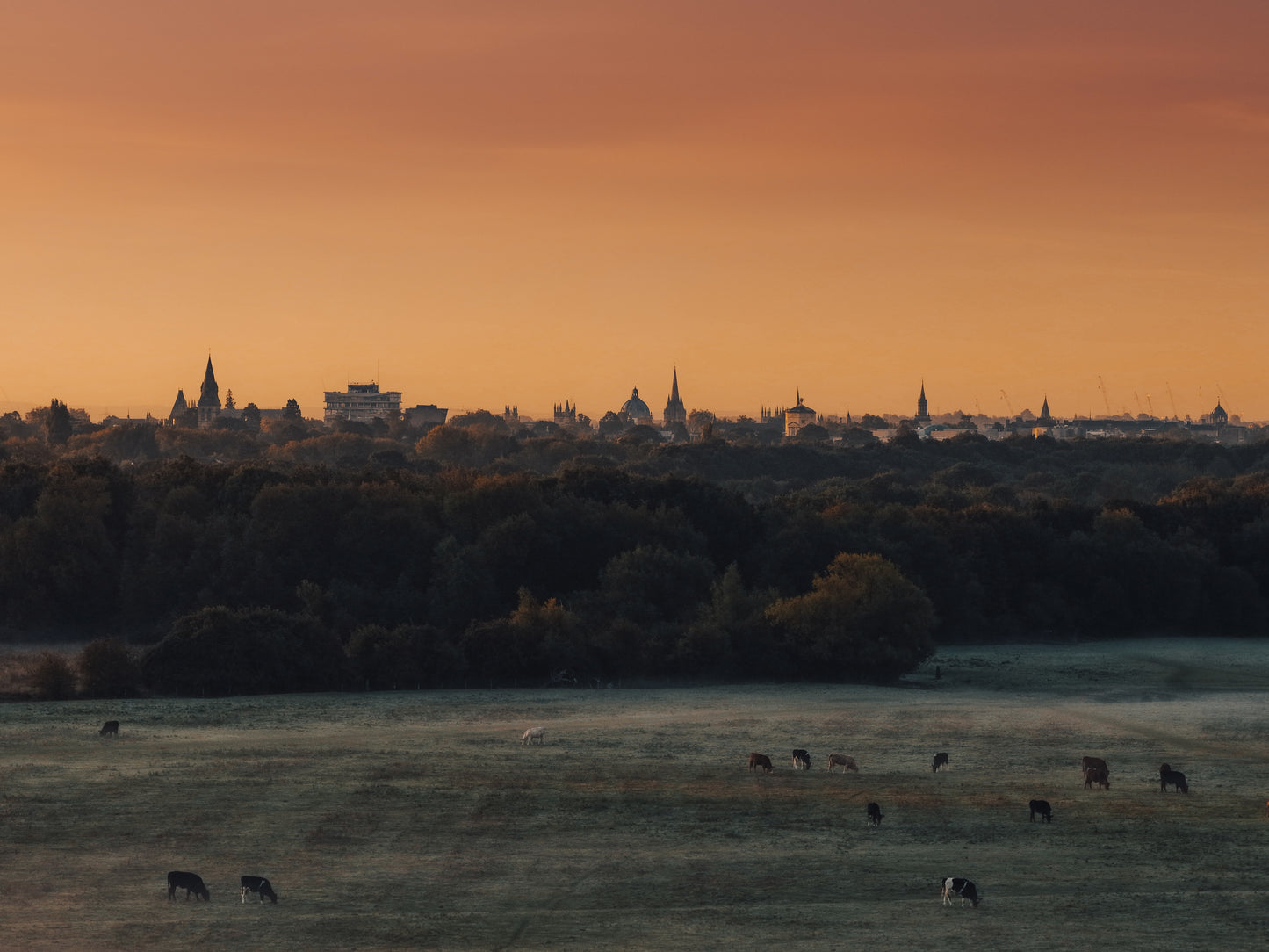 Oxford Skyline at Sunrise