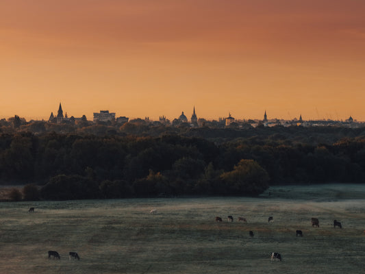 Oxford Skyline at Sunrise