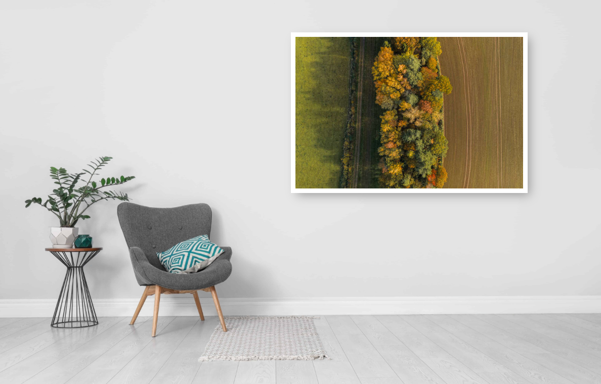 Edge of the Woods.jpg