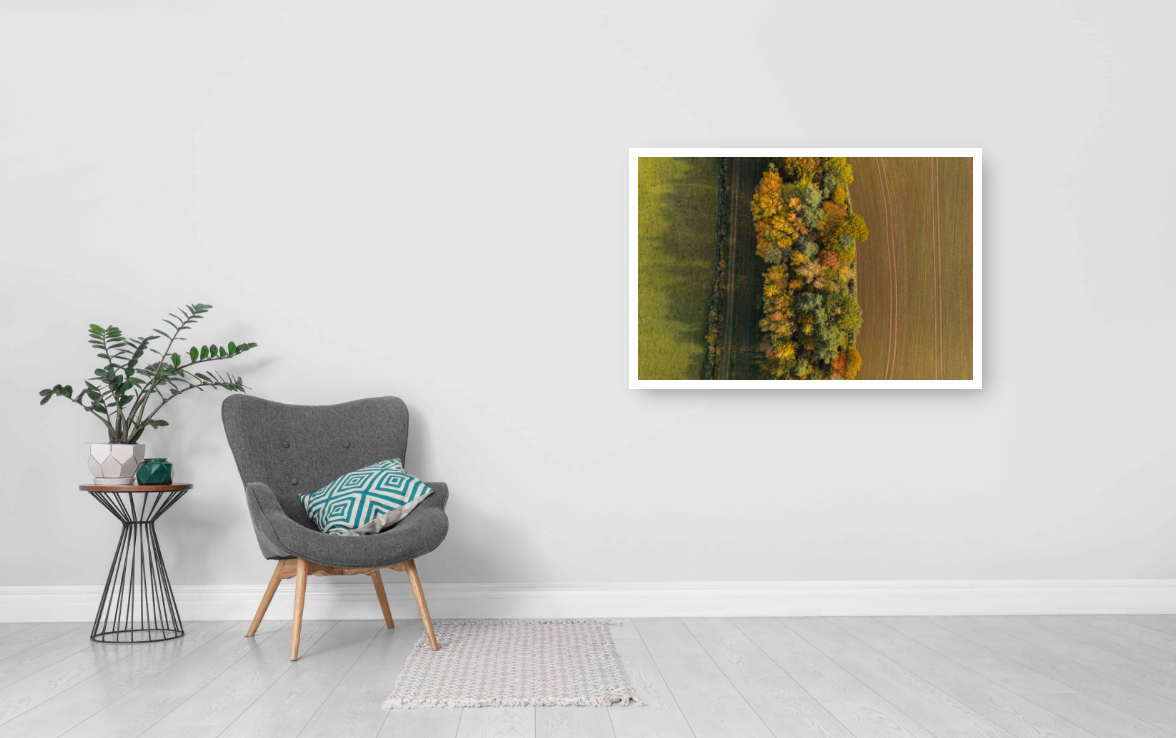 Edge of the Woods.jpg