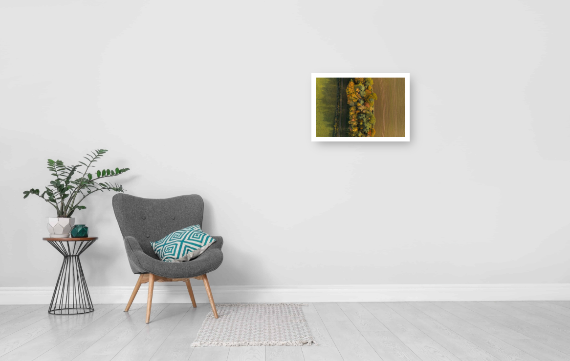 Edge of the Woods.jpg