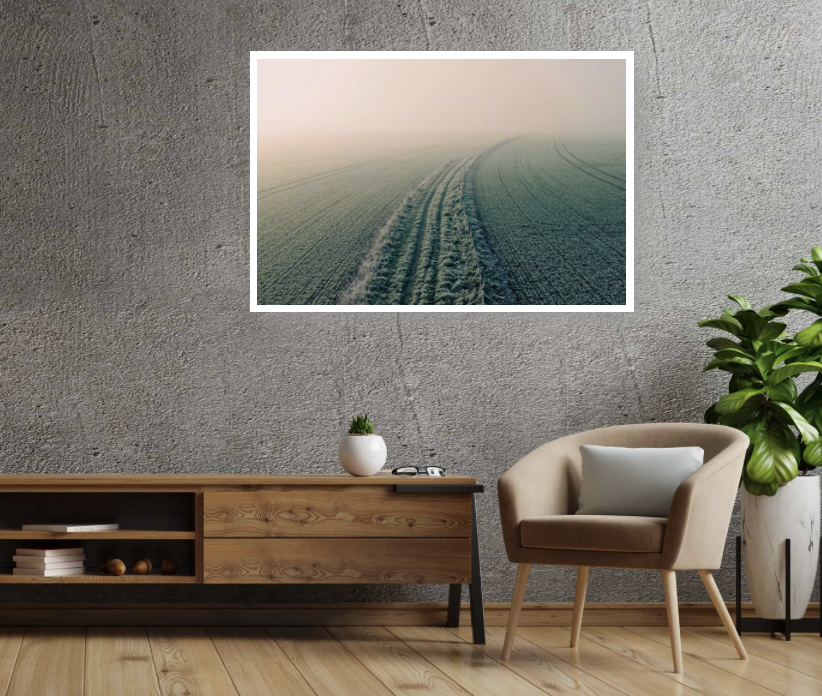 Into the Mist — A Winter Field at Dawn