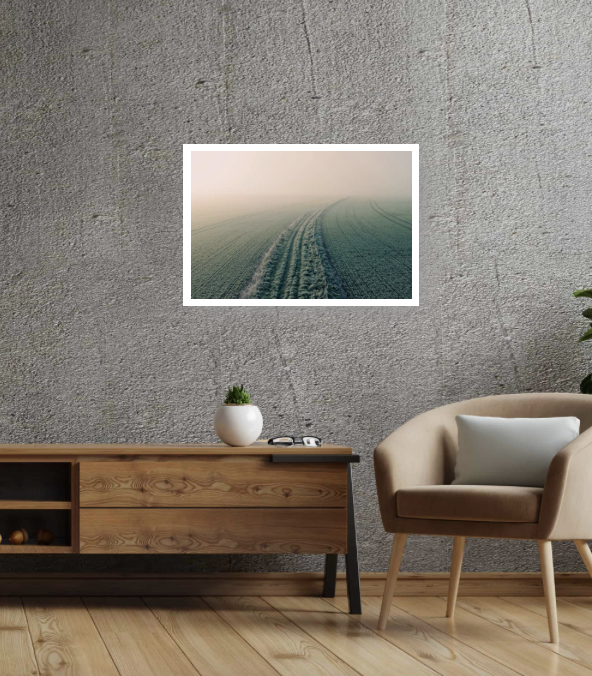 Into the Mist — A Winter Field at Dawn